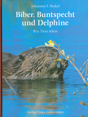 Cover für Biber, Buntspecht und Delphine